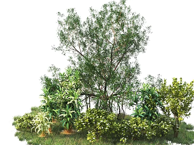 Lush Green Shrubs in Garden with Diverse Plants and Foliage 3d model