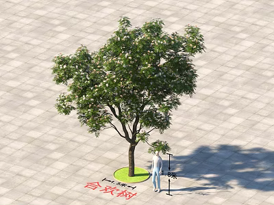 Outdoor Silk Tree with Person Standing on Paved Ground and Green Circular Area 1 Meter 3d model