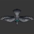 Flying Pigeon With Spread Wings And Green Feathered Neck On Gray Background With Reflection