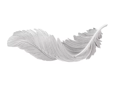 Elegant Silver Feather Shaped Wall Decor For Modern Home Decoration 3d model