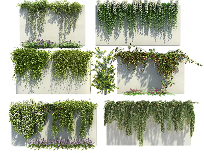 Lush Green Hanging Vines Covering Wall With Fresh Leaves And Small Flowers 3d model