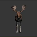 Detailed Brown Moose Sculpture With Large Antlers Standing On Dark Surface