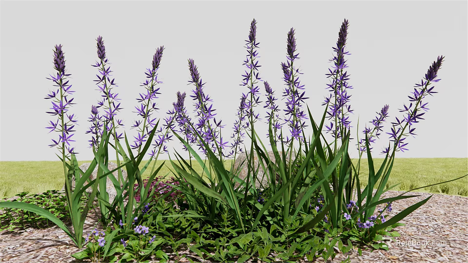 Purple Flowers With Tall Stems And Green Leaves In Garden Setting 3d model 