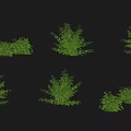 raspberry red raspberry fruit sapling crops fruit tree raspberry plump red raspberry fruit tree shrub fruit 3d model