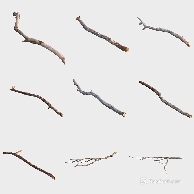 Assorted Natural Tree Branches With Various Shapes Sizes And Lengths 3d model 