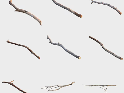 Assorted Natural Tree Branches With Various Shapes Sizes And Lengths 3d model