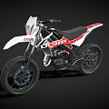 White and Red FSTA Off Road Motorcycle With Wide Tires And Headlight