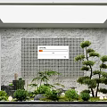 Serene Indoor Landscape With Gray Stone Wall Grid Pattern Pine Tree And Lush Green Plants