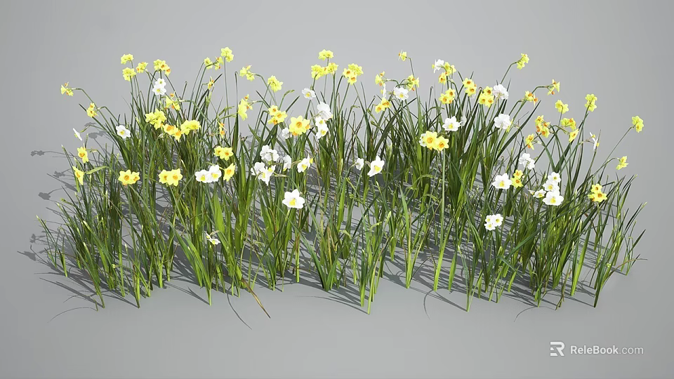 Beautiful Small Yellow And White Flowers Blooming With Green Grass Stems Outdoors 3d model 