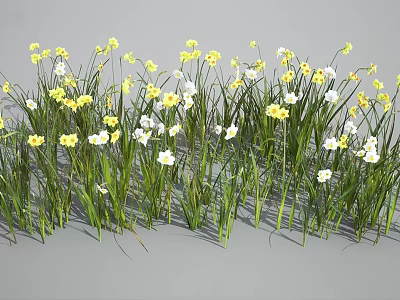 Beautiful Small Yellow And White Flowers Blooming With Green Grass Stems Outdoors 3d model
