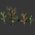 Various Form Cactus and Succulent Plants 3D Rendered Display with Different Shapes on Gray Surface