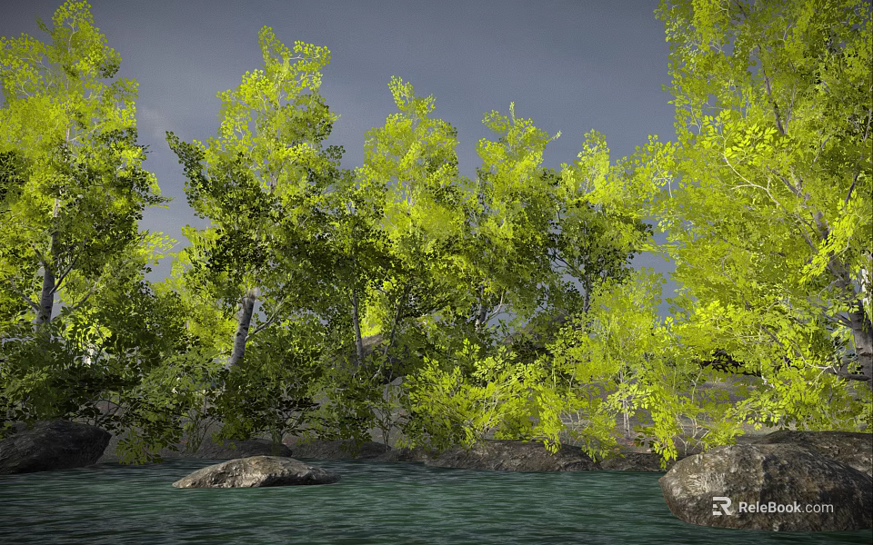 Tall Green Arbor Trees With Lush Foliage By Water Surface And Rocks 3d model 