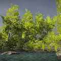 Tree White Birch Combination Plant Forest Scene Arbor 3d model