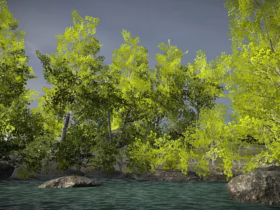 Tall Green Arbor Trees With Lush Foliage By Water Surface And Rocks 3d model