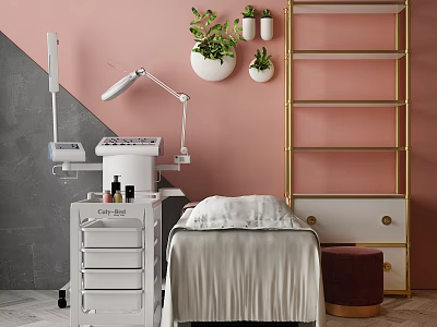 Massage Bed With White Sheet Featuring Pink Wall Green Plants Golden Shelf And Medical Equipment 3d model