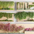 Lush Green Vines Decorating Wooden Wall With Hanging Foliage And Small Plants