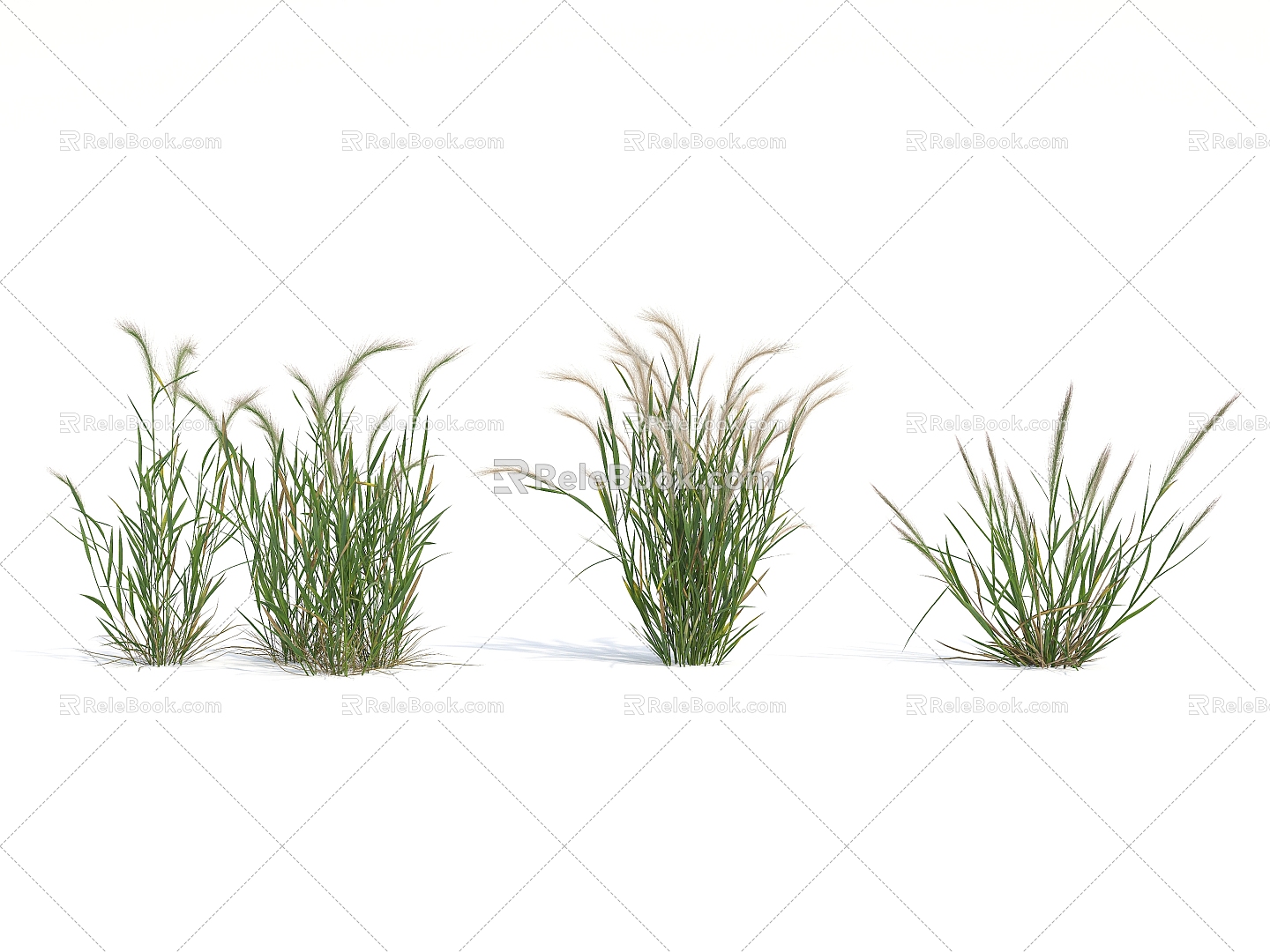 Modern Grass 3d model