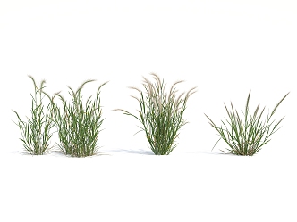 Modern Grass 3d model