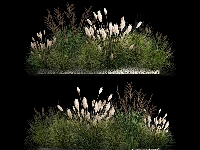 shrubs and barnyard grass flowers plants grass landscape design grass plants flower model