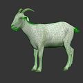 Modern Sheep Goat 3d model