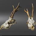 Decorative Deer Skulls With Natural Antlers For Home