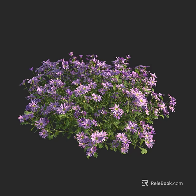Dense Cluster Of Purple Small Flowers Blooming Vibrantly Against Black Background 3d model 