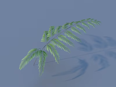 Green Fern Leaf with Light Blue Background and Natural Shadow Details 3d model