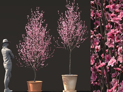 Peach Blossom Tree Bonsai Balcony Garden Ornaments Outdoor Sparks model