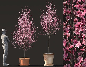 Peach Blossom Tree Bonsai Balcony Garden Ornaments Outdoor Sparks 3d model