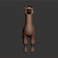 alpaca wool llama alpaca alpaca camel sheep humpless moose animal 3d model