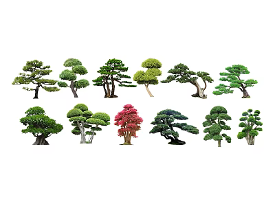 Various Types of Ornamental Arbor Trees with Unique Shapes and Foliage 3d model