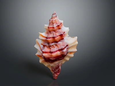 Vibrant Marine Gastropod Mollusk with Spiral Shell and Red Stripes 3d model