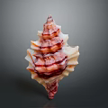 Vibrant Marine Gastropod Mollusk with Spiral Shell and Red Stripes