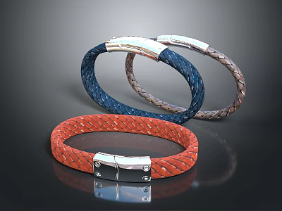 Blue Brown Red Braided Leather Bracelets With Metal Clasp For Daily Accessory Use 3d model