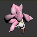 Female Character With Black And White Outfit And Pink Nine Tailed Creature In Standing Pose