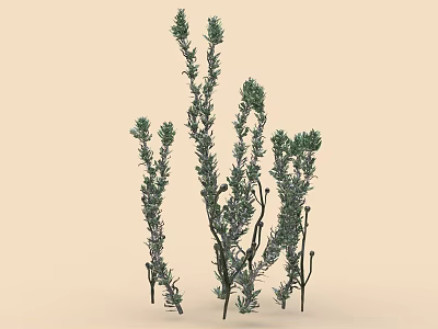 Green Decorative Herbs With Slender Stems And Vibrant Green Leaves Set Against Light Neutral Background 3d model