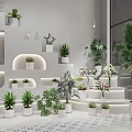 Elegant Modern Plant and Flower Boutique Interior With Display Shelves Round Showcase And Archway Lighting