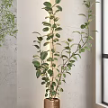 Indoor Bonsai Plant In Stylish Pot By Window With Blinds And Modern Interior Decor