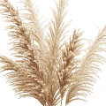 Elegant Dried Pampas Grass Bouquet In Clear Glass Vase For Home Interior Decor
