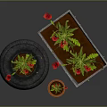 Red Flowers Growing In Tire Planter Clay Pot And Boat Shaped Container On Gray Background