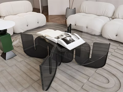 Modern White Sofa And Black Coffee Table Set With Open Book On Gray Rug 3d model