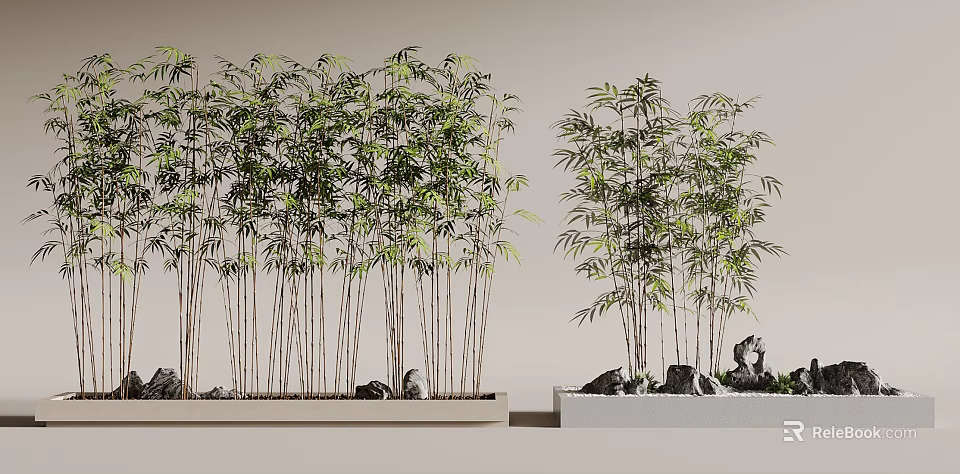 Bonsai Bamboo Potted Plants With Slender Stems Green Leaves And Stones 3d model 