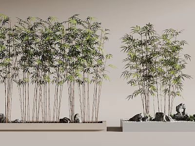 Bonsai Bamboo Potted Plants With Slender Stems Green Leaves And Stones 3d model
