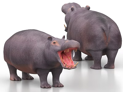 Realistic Hippopotamus Figures One Open Mouth And Rear View Pose 3d model