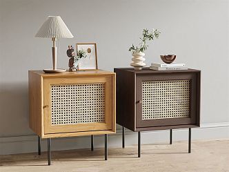 Silky Bedside Cabinet Wooden Rattan Bedside Cabinet 3d model