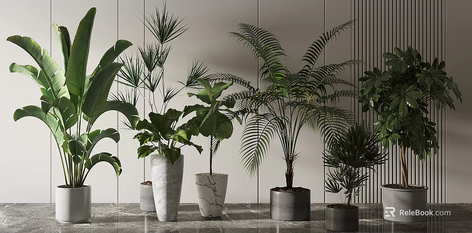 Bonsai and Potted Plants in Modern Interior with Various Textured Pots and Green Foliage 3d model 
