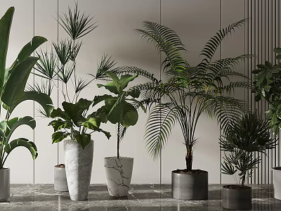 Bonsai and Potted Plants in Modern Interior with Various Textured Pots and Green Foliage 3d model
