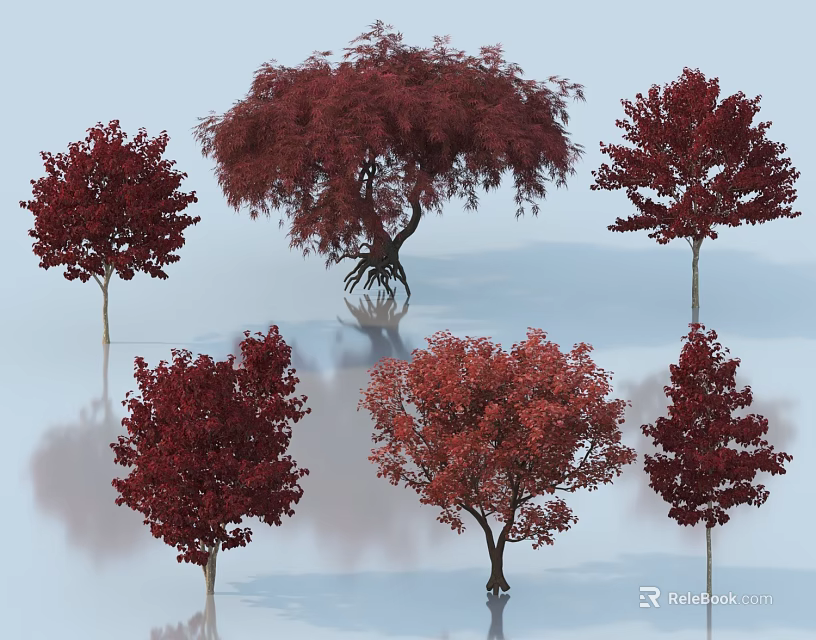 Vibrant Red Leaf Arbor Varieties With Various Shapes And Lush Foliage 3d model 