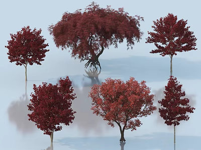 Vibrant Red Leaf Arbor Varieties With Various Shapes And Lush Foliage 3d model
