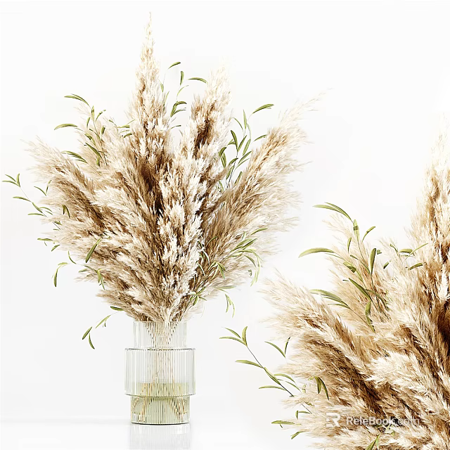 Beige Pampas Grass Arrangement in Clear Glass Vase on White Background for Modern Home Decor 3d model 